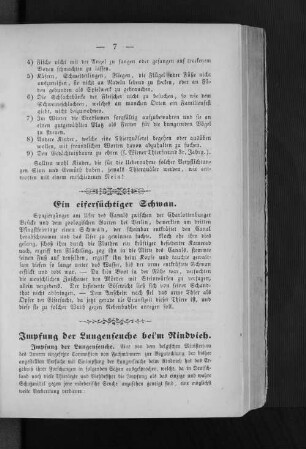 Impfung der Lungenseuche bei'm Rindvieh.