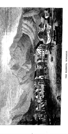 HONOLULU - THE HARBOUR (G. Pearson)