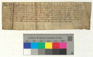 Die 12 Lüneburger Ratsmannen bekunden, dass der Ratsmann Hinrik van der Molen dem Johannes Burmester ½ Fuder Salz aus dem Hause Udinge verkauft hat. [lat.]