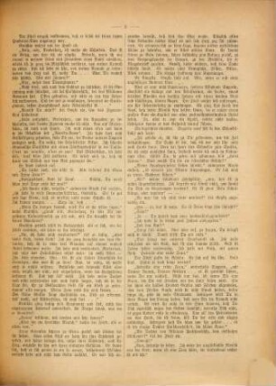 Die neue Welt : illustriertes Unterhaltungsblatt für das Volk. 1895