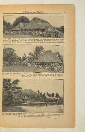 Samoanisches Landschaftsbild