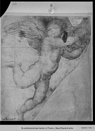 Putto