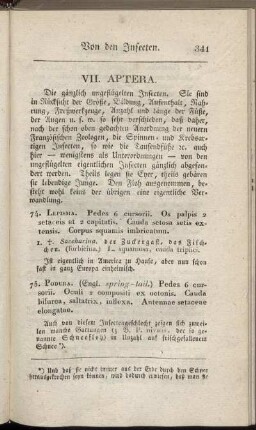 VII. Aptera.