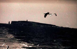Helgoland: Abfahrt, Insel und Möwen im Kielwasser