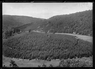 Wilhelmsblick bei Treseburg im Harz