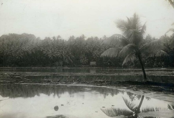 "Au bord de l'eau, Nauru"