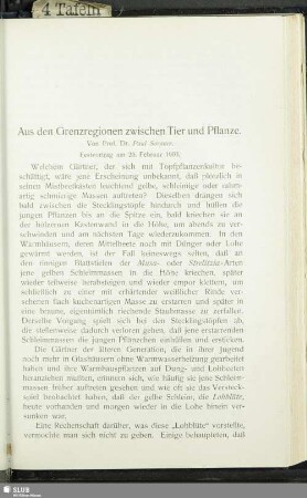 Aus der Grenzregion zwischen Tier und Pflanze