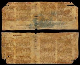 Ps.-Thomas : Super apocalypsim (Fragment)