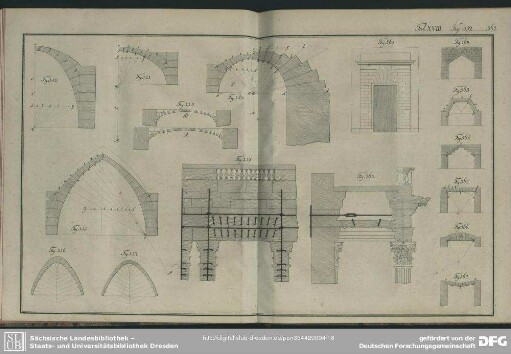 Tab. XVIII. Fig. 352-367