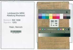 Entnazifizierung Heinrich Haan , geb. 31.01.1895 (Metzger)