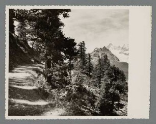 Riffelalp bei Zermatt