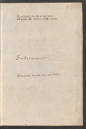 Mystikertexte - Visionen : Ms. germ. qu. 74