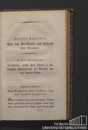 Zehntes Kapitel. Vom Brand der äußern Theile, oder vom trocknen Baumkrebs.