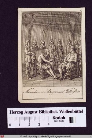 Maximilian von Bayern und Wallenstein