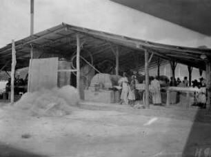 Kiomoni, Bürsthalle der Sisalfabrik.