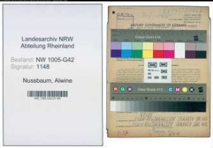 Entnazifizierung Alwine Nussbaum , geb. 18.01.1908 (Geschaeftsinhaberin)