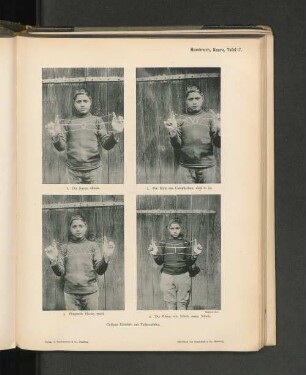 Hambruch, Nauru, Tafel 17.