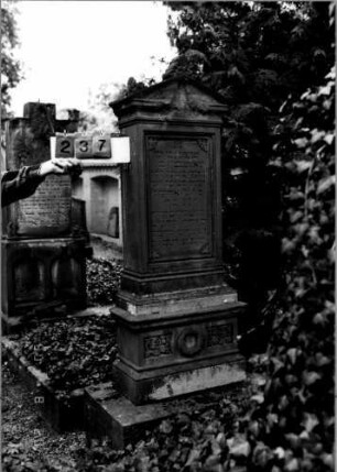 Grabstein 237