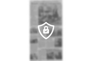 Rasante Jagd auf Zeitungsenten