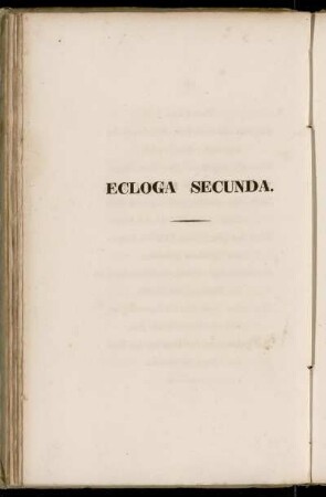 Ecloga Secunda / Zweite Idylle