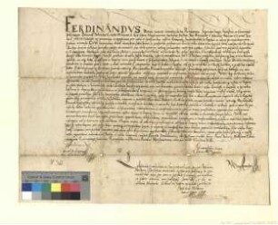 Der notarius publicus Basilius Melhorn beglaubigt dem Kloster die Urkunde vom 20. Juni 1559.