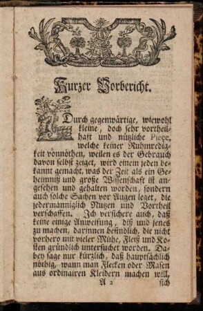 Kurzer Vorbericht.