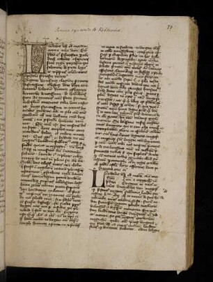 Sermones synodales