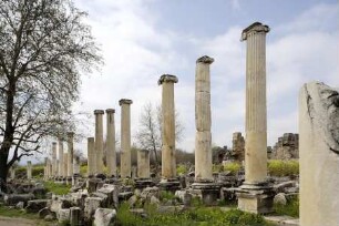 Agora