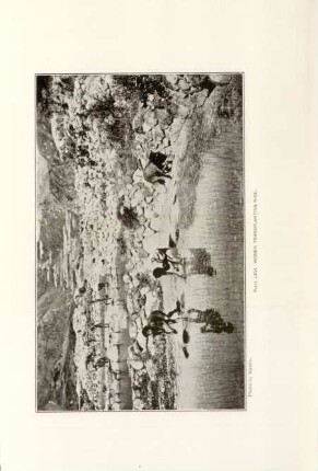 Plate LXVI. Women transplanting rice