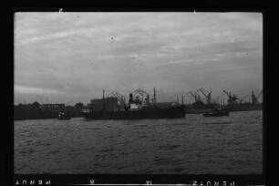 Kormoran (1927), Wessels