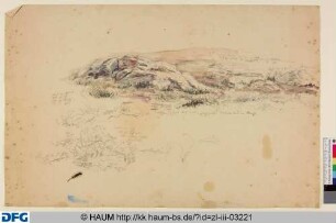 Landschaft mit Felsen und Pflanzen