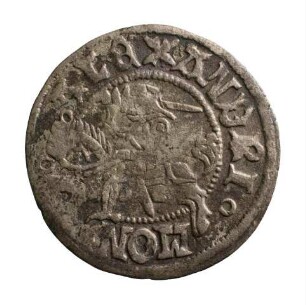 Münze, Kwartnik, 1492/1501