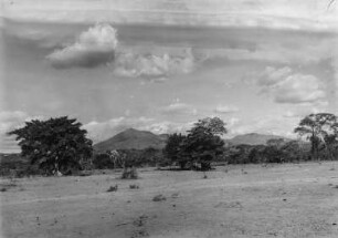 Berglandschaft : Blick auf die Landschaft des Uluguru-Gebirges