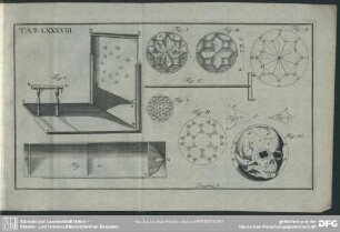 Tab: LXXXVIII.