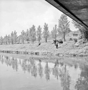 Trave: unterhalb Brücke am Berliner Ring: rechts am gegenüberliegenden Ufer Gruppe Jugendlicher an Uferböschung: dahinter Baumreihe und Gebäude
