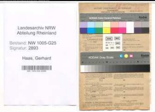 Entnazifizierung Gerhard Haas , geb. 07.09.1885 (Kaufmann)