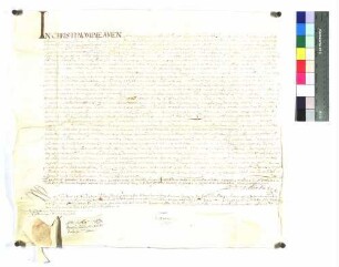 Notarielle Generalvollmacht des Markus Konrad von Rehlingen für Ferdinand Geizkofler, ausgestellt in Genf