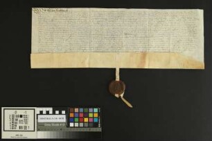 Heidesheim: Kaufbrief Heidesheim für Heinrich v. Stockheim