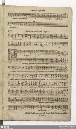 XIV. Alleluia kommet her und schauet an