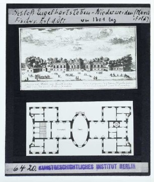 (Zeichnung),Engelhartstetten, Schloss Niederweiden : Architekturzeichnung und Grundriss