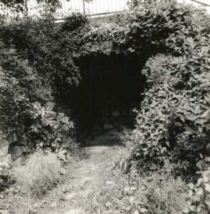 Stadt Wehlen. Burgruine (13. Jahrhundert). Gewölbe, Südseite