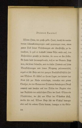 Drittes Kapitel
