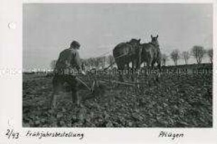 Frühjahrsbestellung - Pflügen der Felder