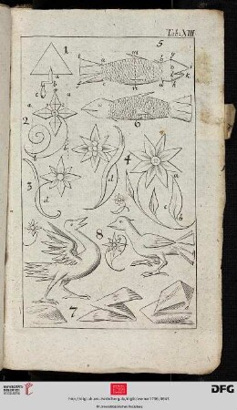 Tab. XIII [Div. Objekte: Fisch, Blume, Vogel (Schemata)]