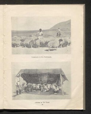 Arbeiter in Tel Yosef.