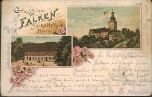Ansichtskarte: Gruss vom Falken Selkethal Harz
