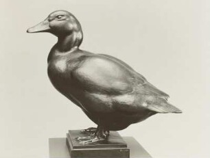 Ente