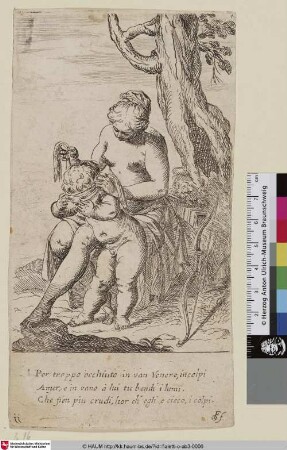 [Venus verbindet Amor die Augen]