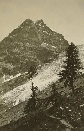 Italien. Ortlergruppe. Madatschspitze (3200 m) und Madatschferner