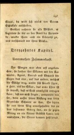 Dreyzehntes Kapitel. Unvermuthete Zusammenkunft.